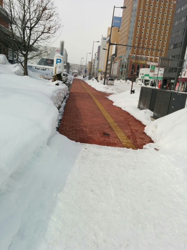 ヒートローディング対応歩行路