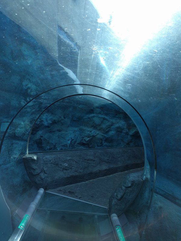 水槽下通路