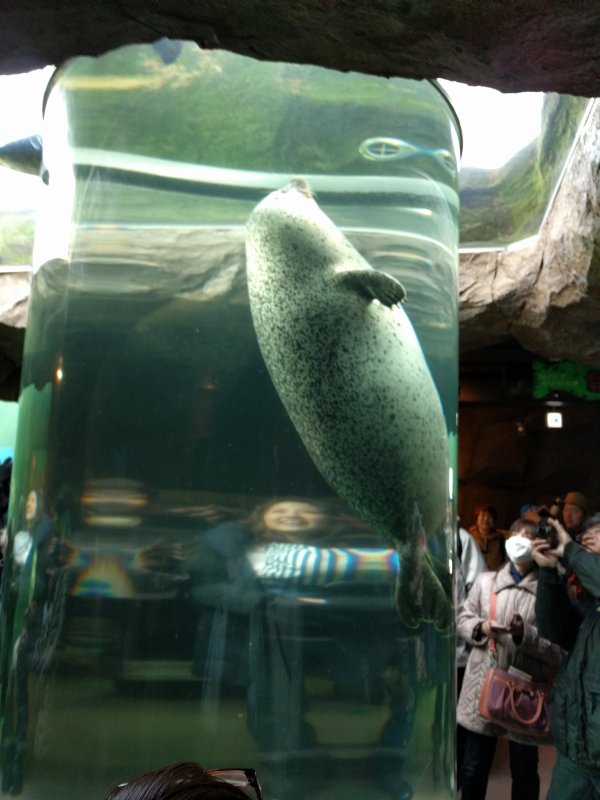 チューブ型水槽
