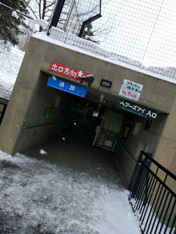 ヘアーズアイ入口