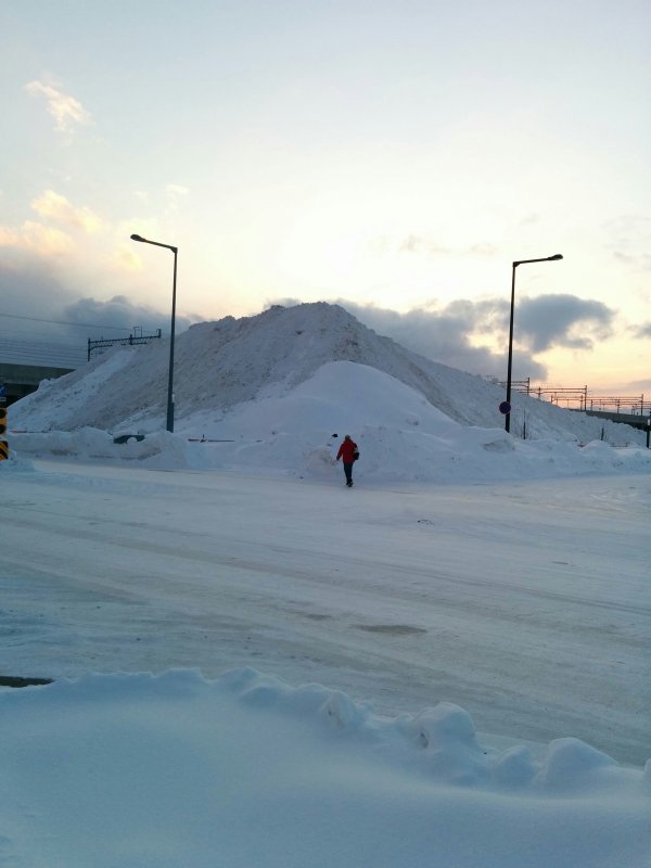 雪捨て場