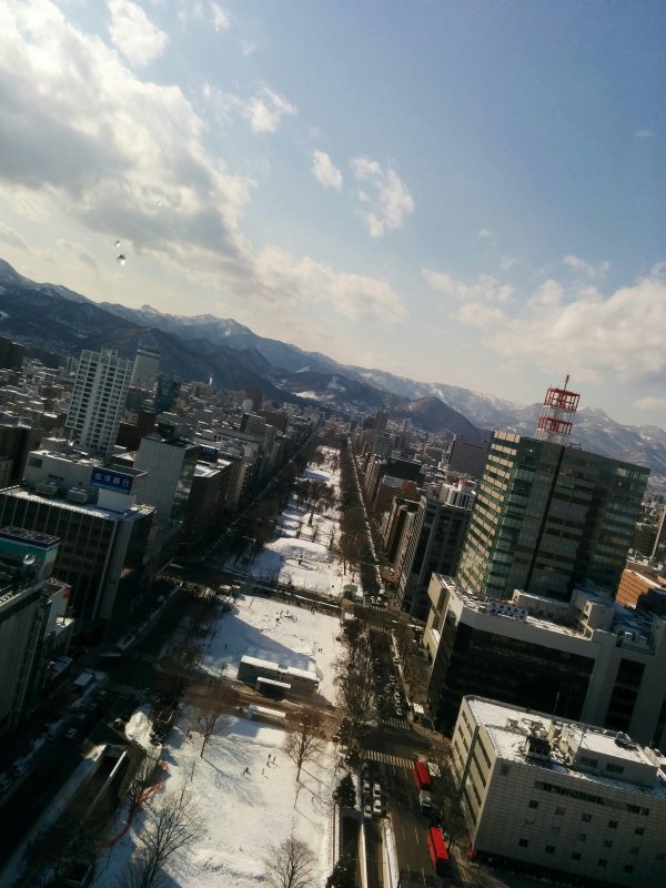 大通りの風景