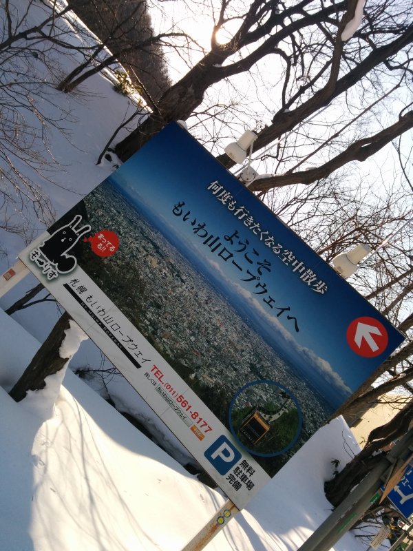何度も行きたくなる空中散歩