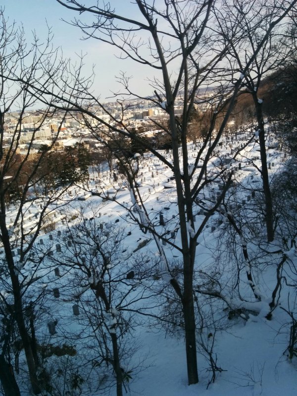 お墓