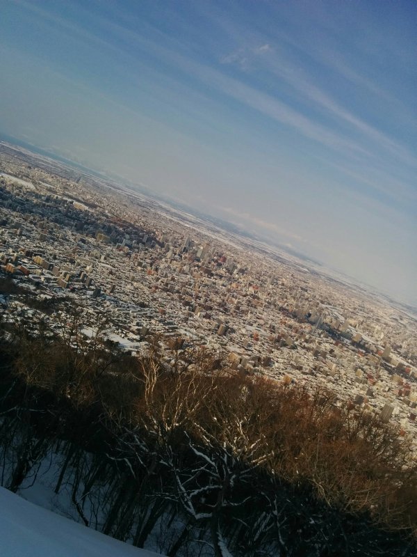 山頂からの風景