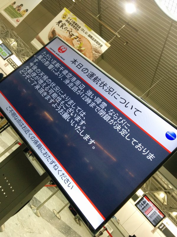 本日の運航状況について
