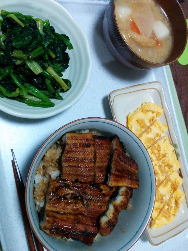 本日の夕食