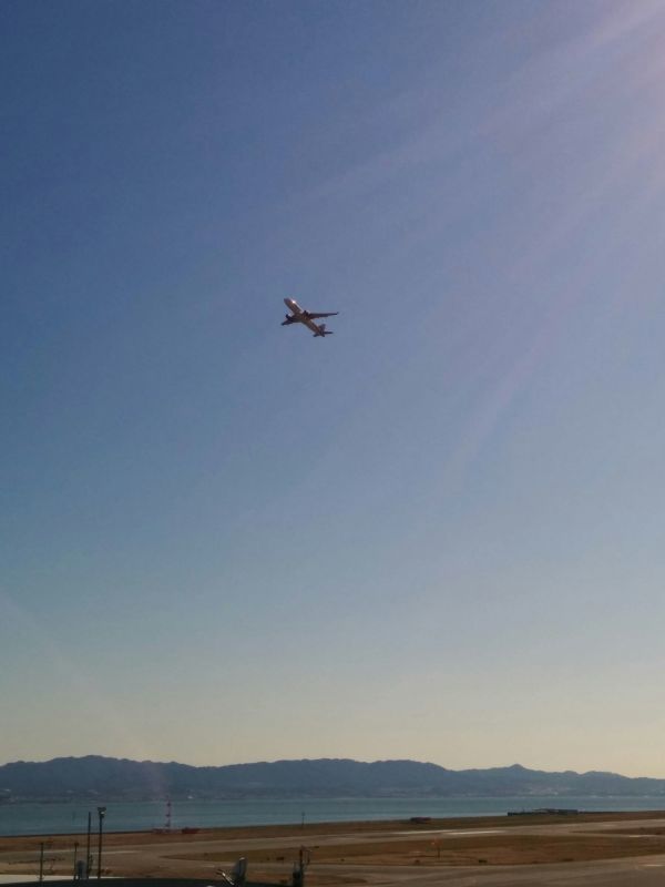 本日の飛行機撮影