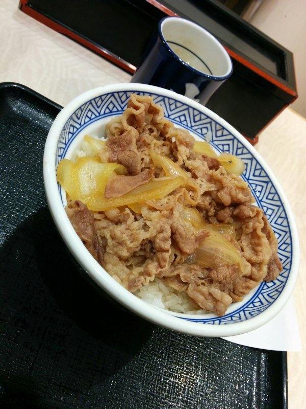 本日の夕食