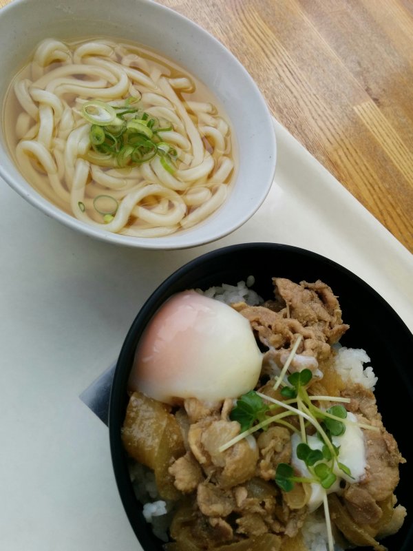 本日の昼食