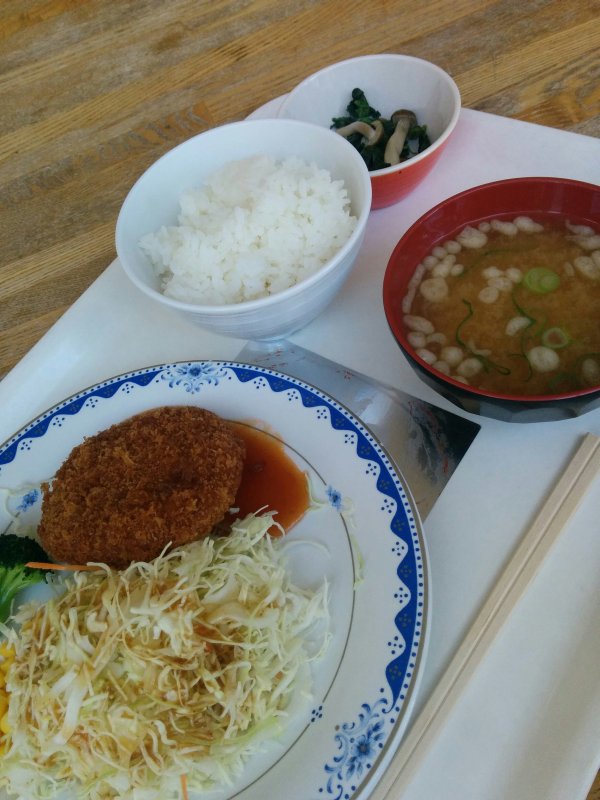 本日の昼食