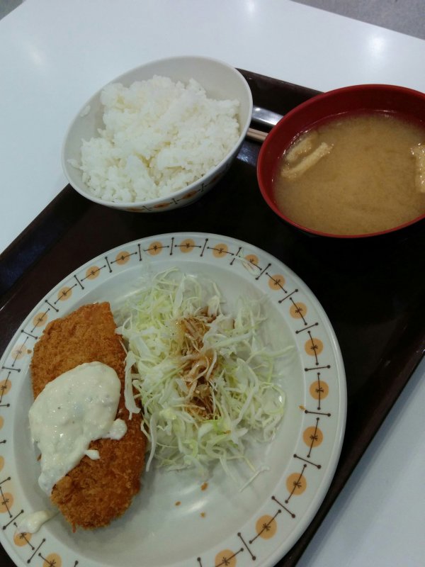 本日の昼食