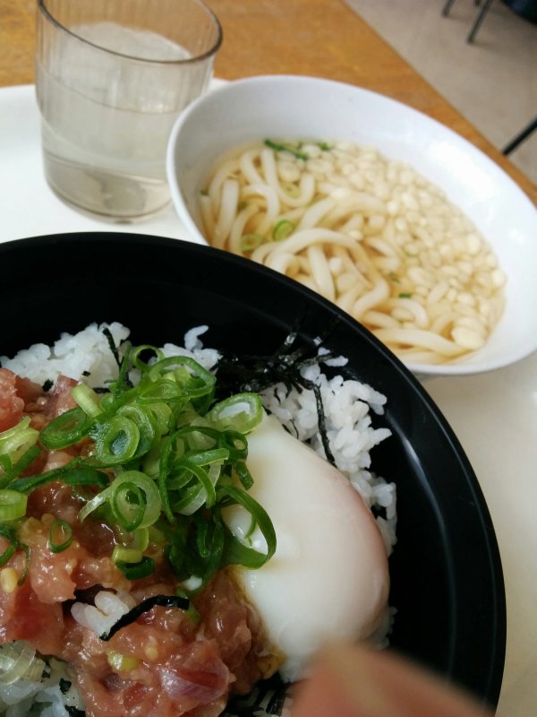 本日の昼食