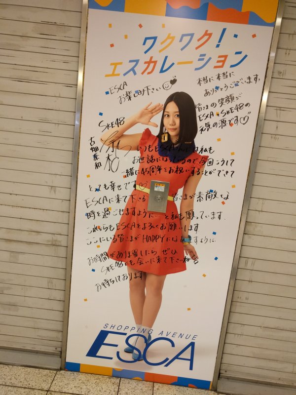 古畑奈和＠ESCA