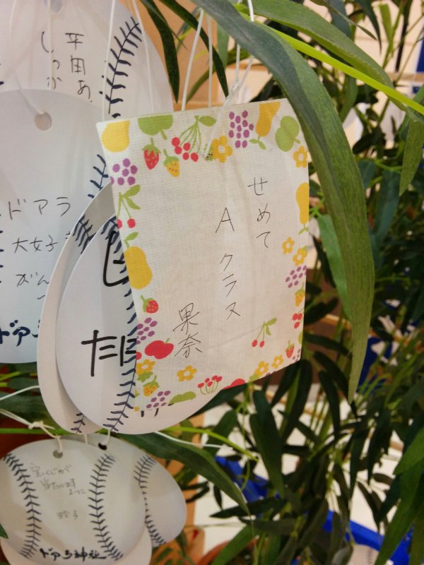 せめてAクラス