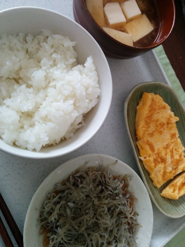 本日の朝食兼昼食