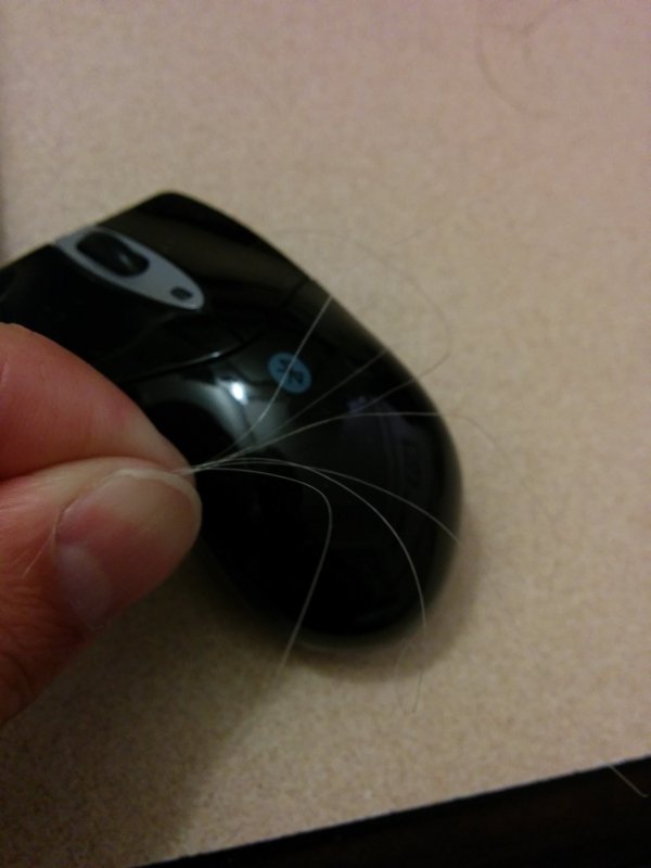 白髪の確認