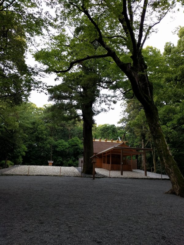 建物と敷地
