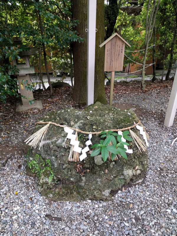 石灰質角礫岩