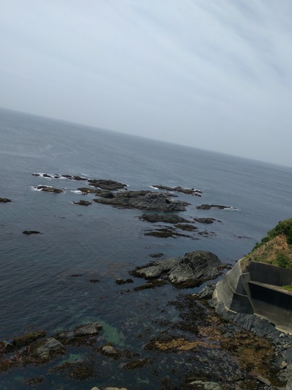 磯釣り