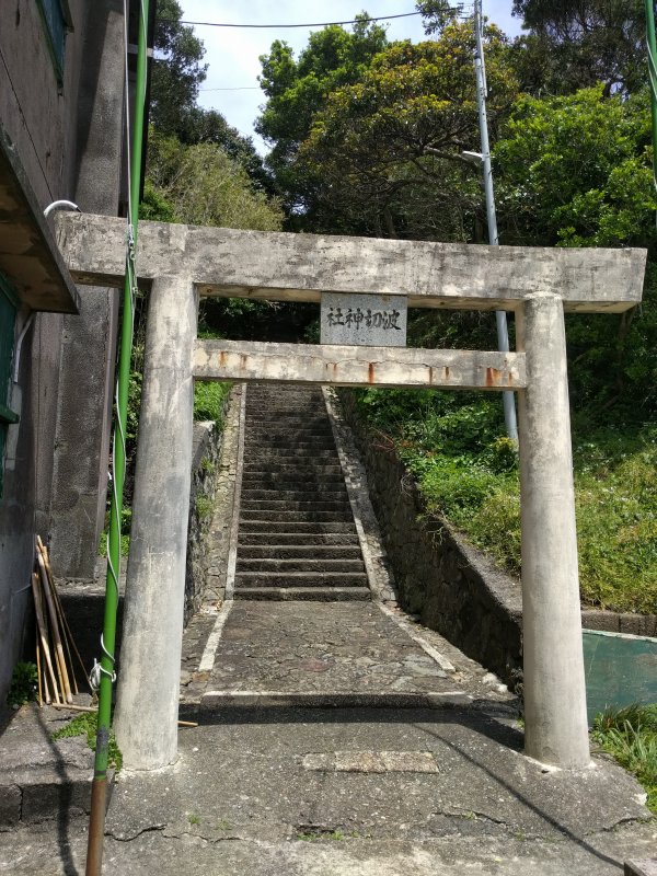 社神切波