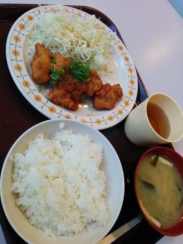 本日の昼食