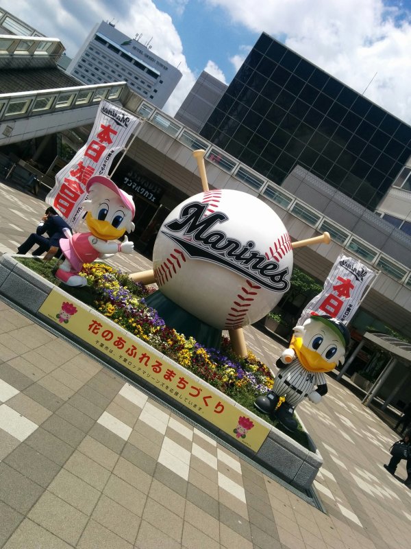 本日試合日