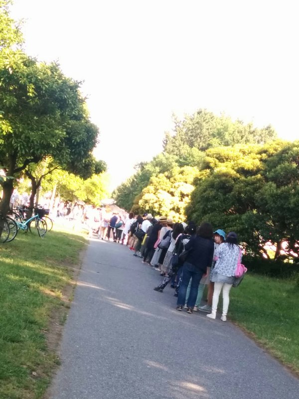 本日の入場列