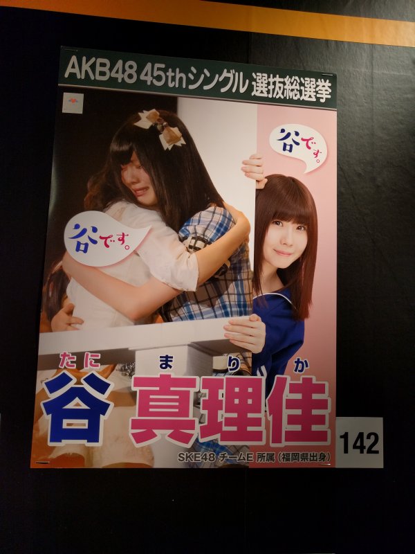 ポスター：谷真理佳