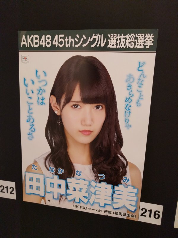 ポスター：田中菜津美
