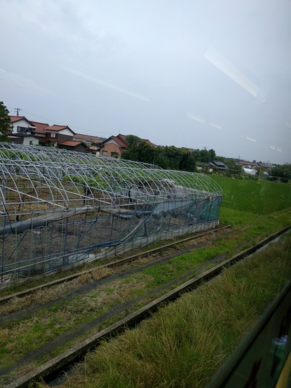 左右にビニールハウス
