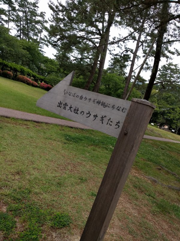 出雲大社のウサギたち