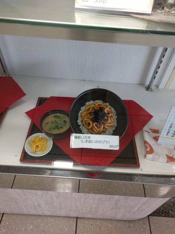 隠岐いか丼