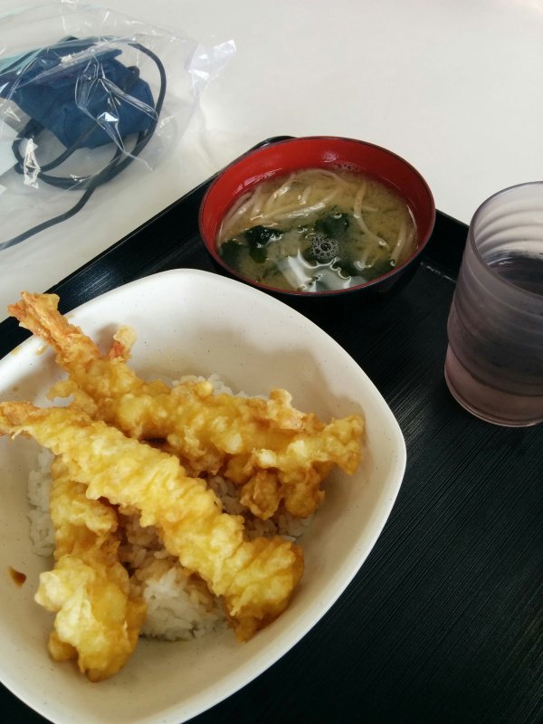 本日の昼食