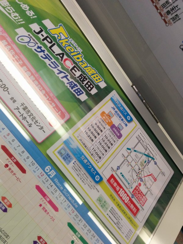 競輪と競馬ができる場所