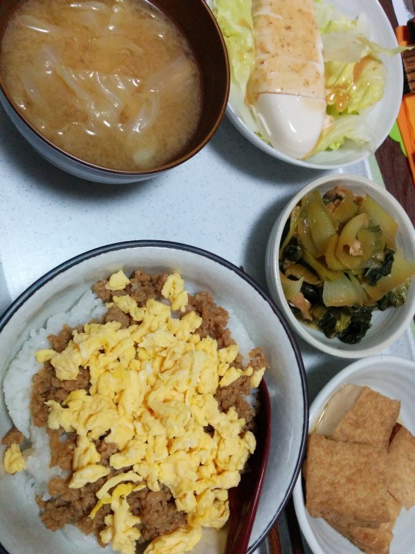 本日の夕食