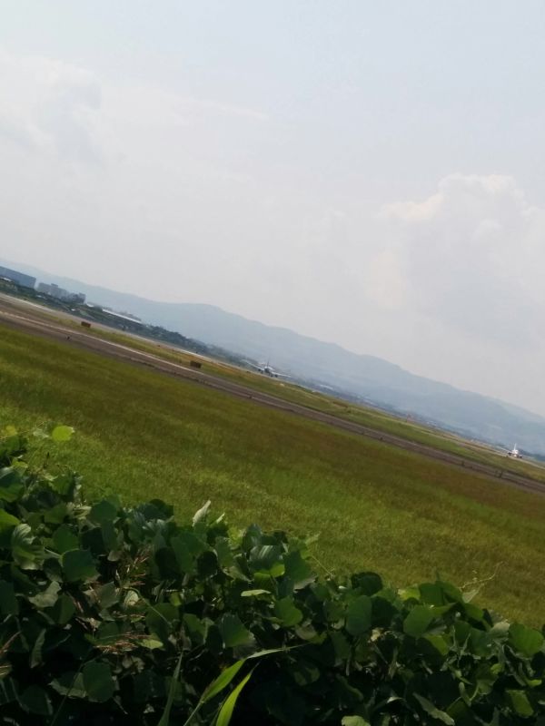 千里川堤防から見る伊丹空港