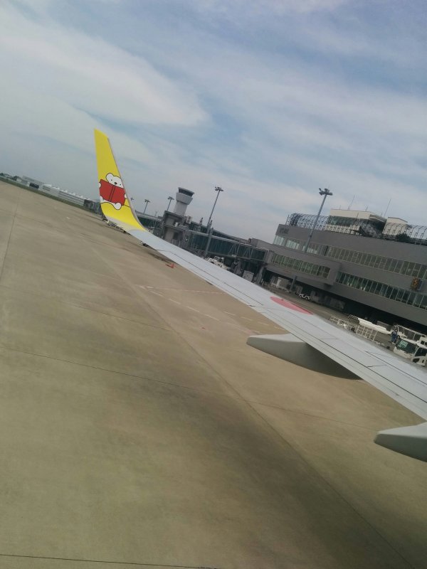 ウイングレット
