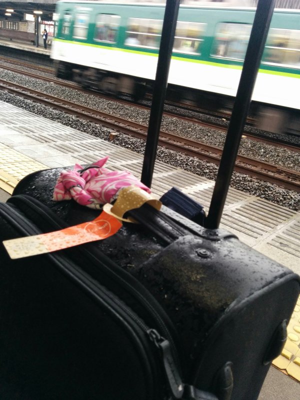 キャリーバッグの雨濡れ