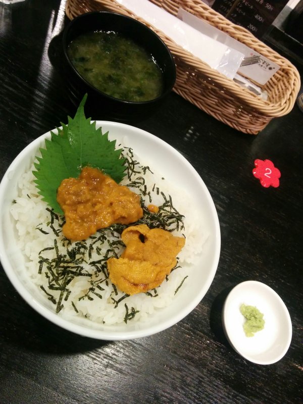 本日の昼食