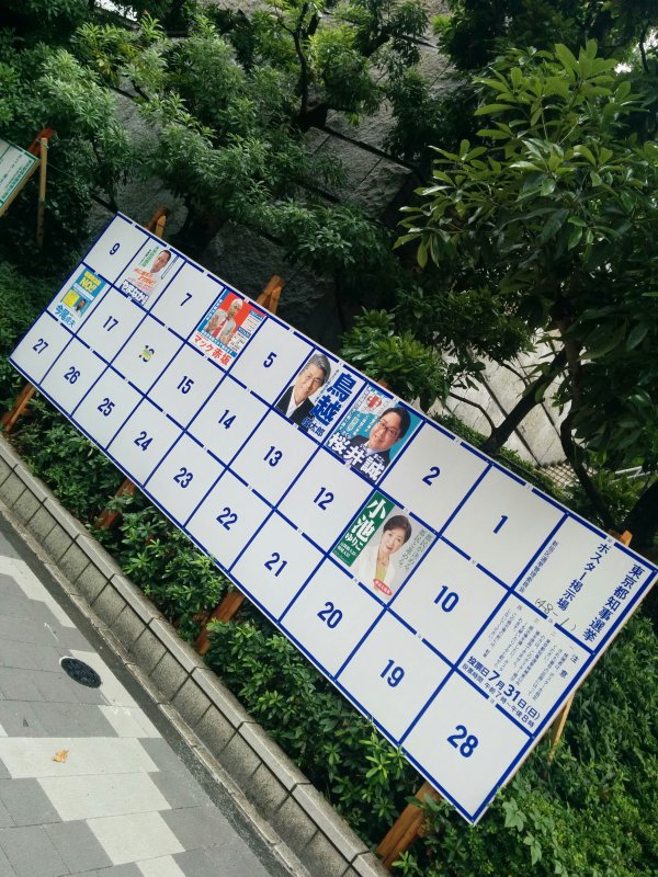 東京都知事選挙ポスター掲示板３