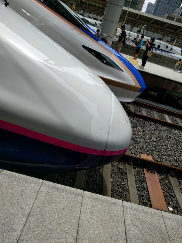 新幹線の横顔