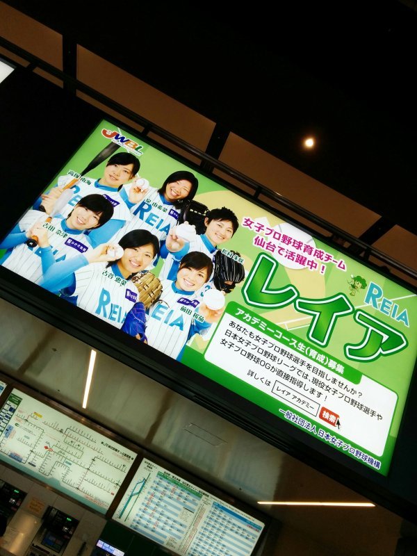 仙台の女子プロ野球