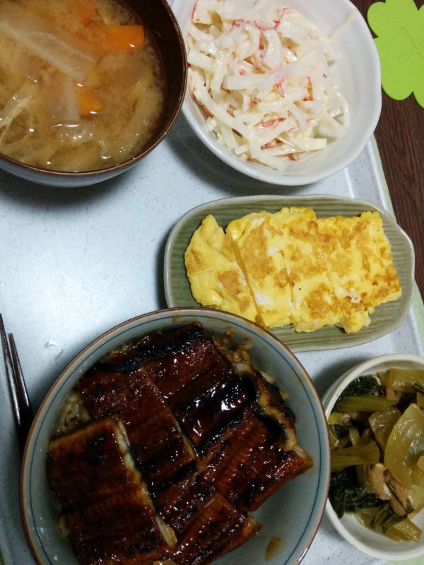 本日の夕食