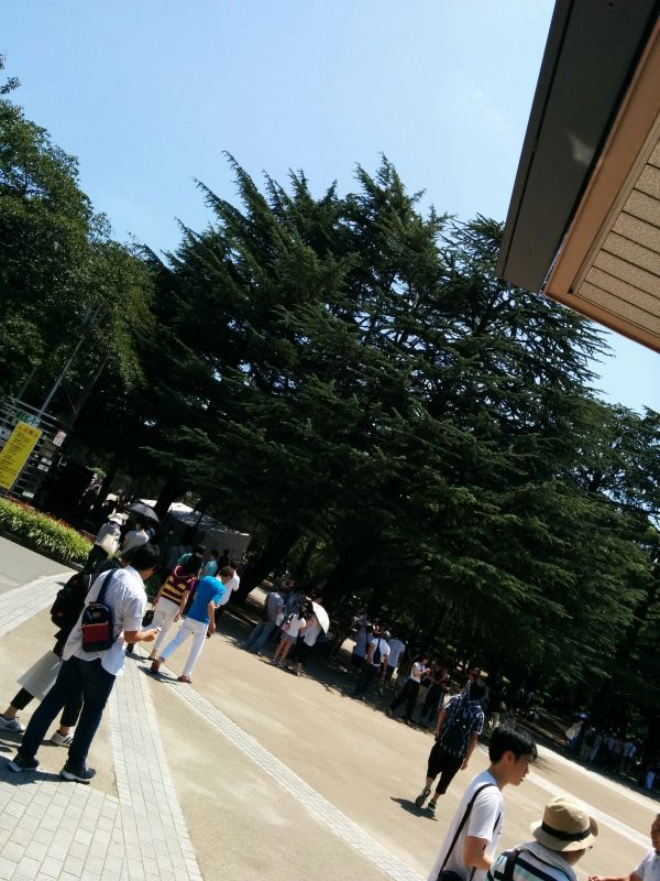公園内の様子