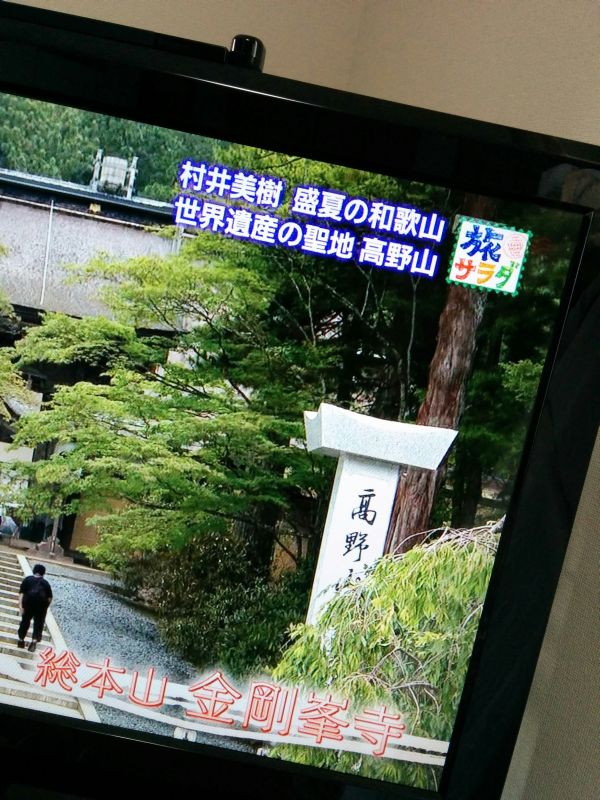 世界遺産の聖地 高野山