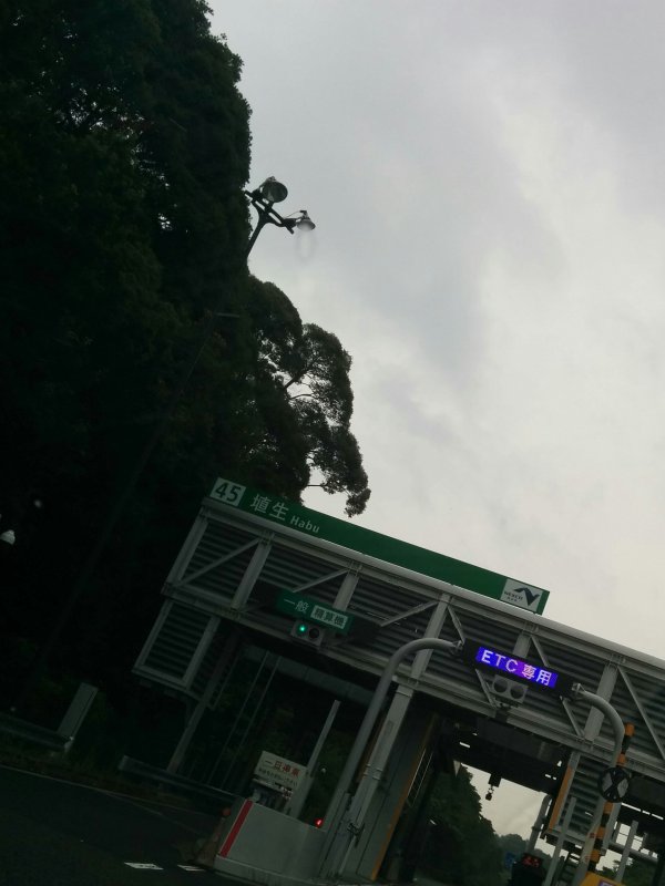 埴生