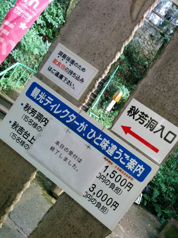 観光ディレクターが、ひと味違うご案内