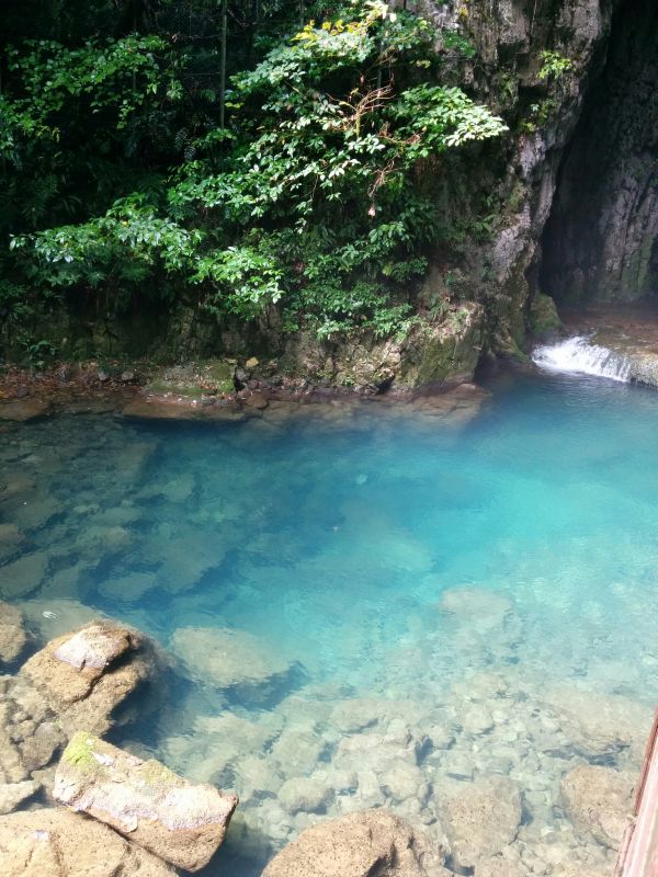 池の水