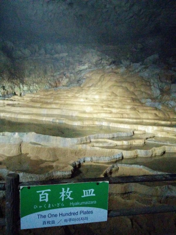 百枚皿